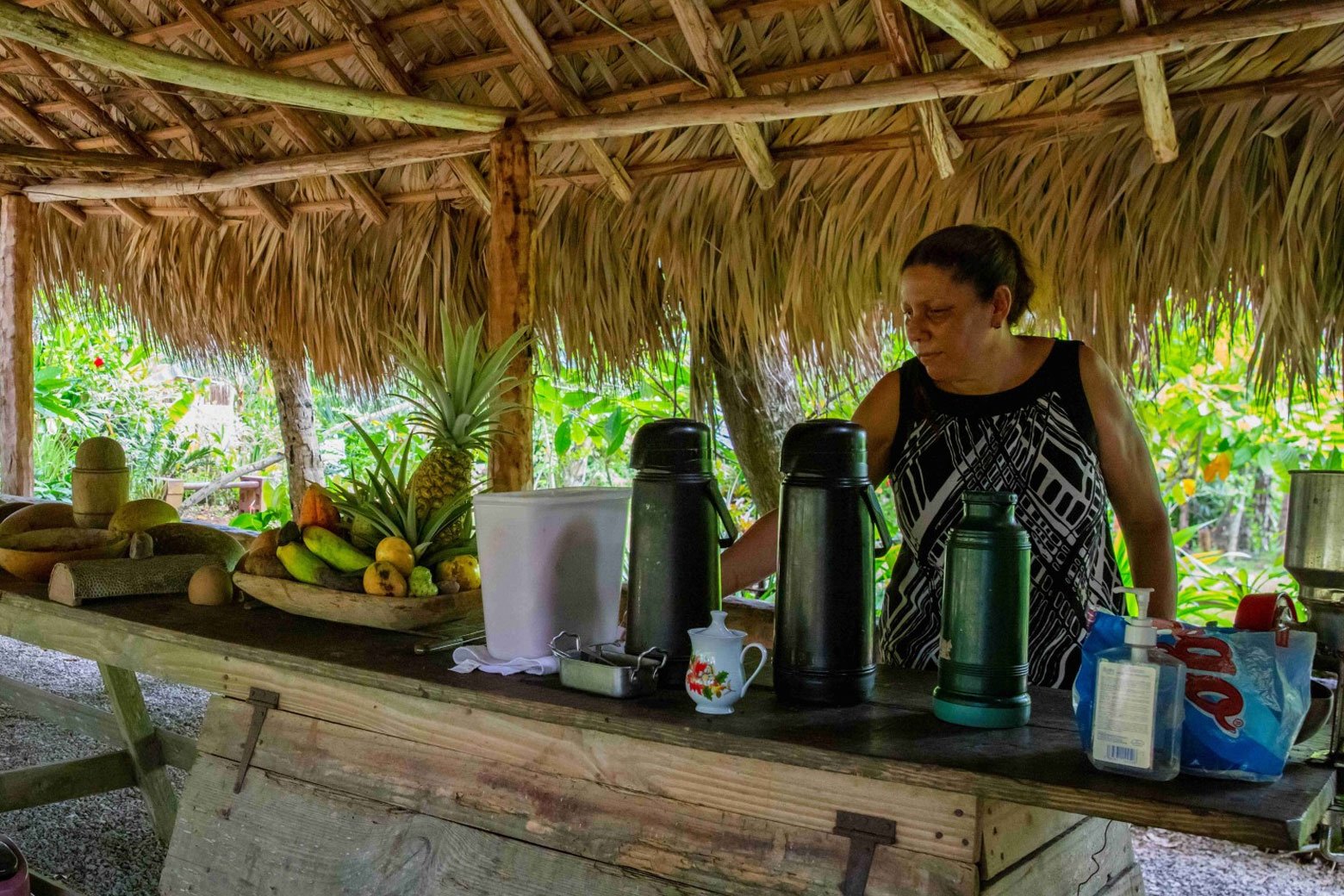 Casa Típica conuco de doña Ana