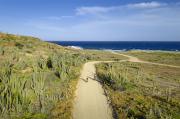 Sendero natural hacia Playa Esmeralda, Miches – Vista hacia el mar